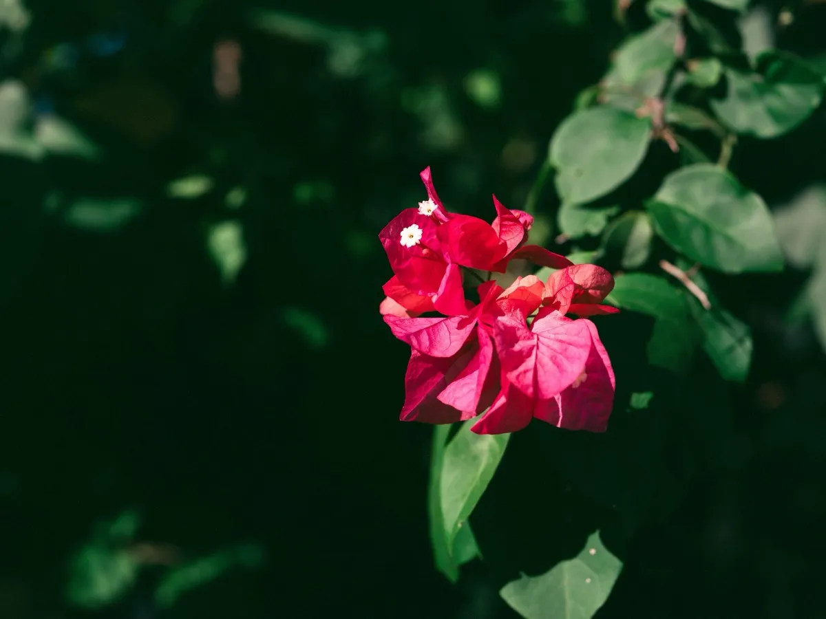 《062625晚》